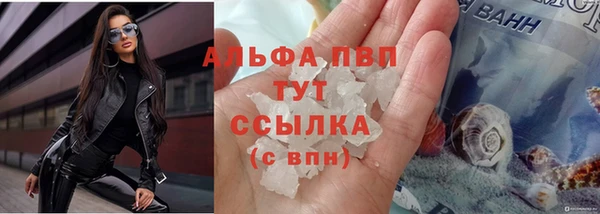 спиды Пересвет