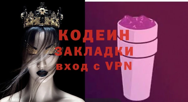 спиды Пересвет