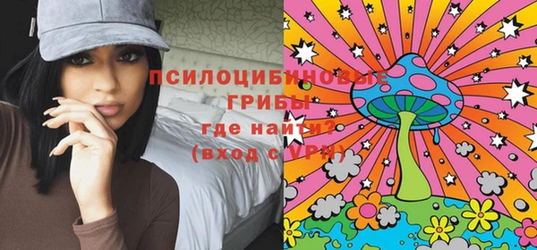 спиды Пересвет