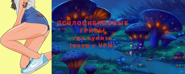 a pvp Пестово
