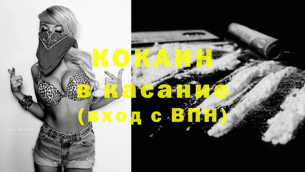 спиды Пересвет