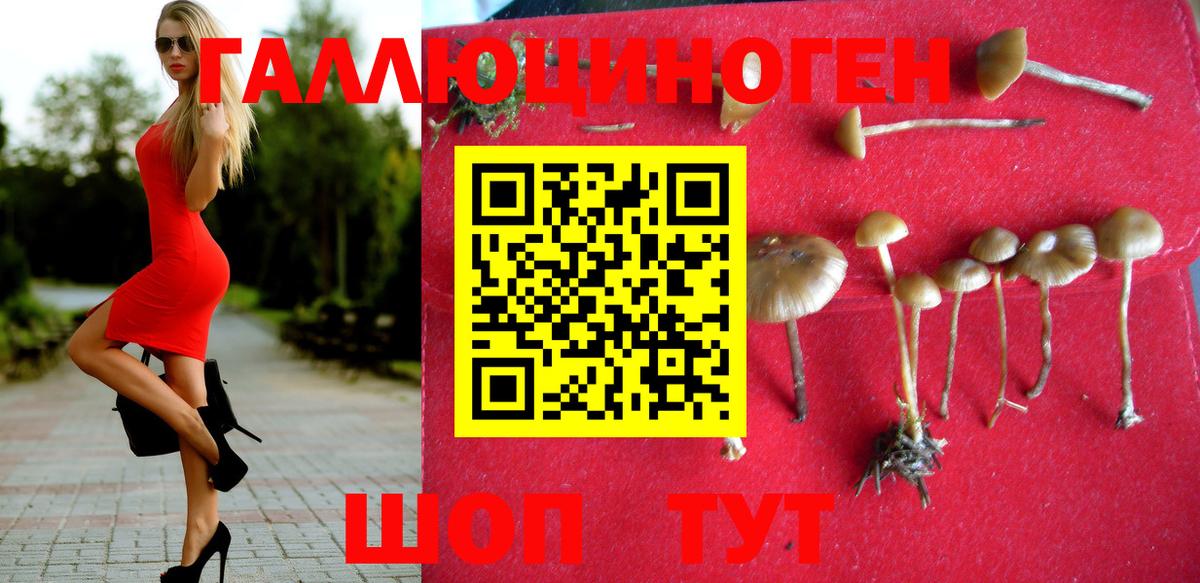 Галлюциногенные грибы Magic Shrooms  Псилоцибиновые грибы GOLDEN TEACHER  Воронеж  Вход с VPN 